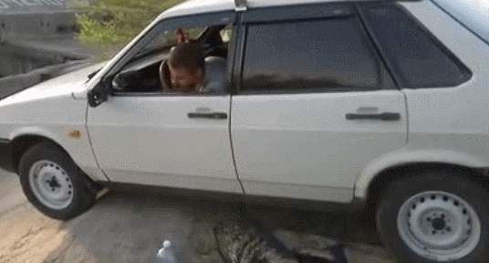 Acid Gifdump, April 03, 2014 (25 gifs)