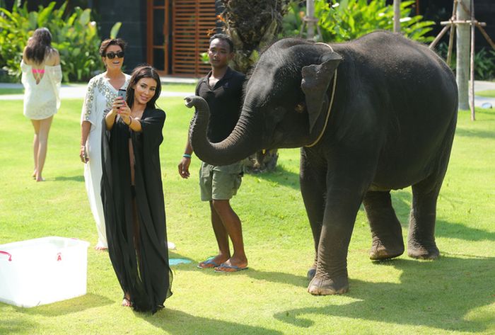 Kim Kardashian Scared By Elephant (4 pics)