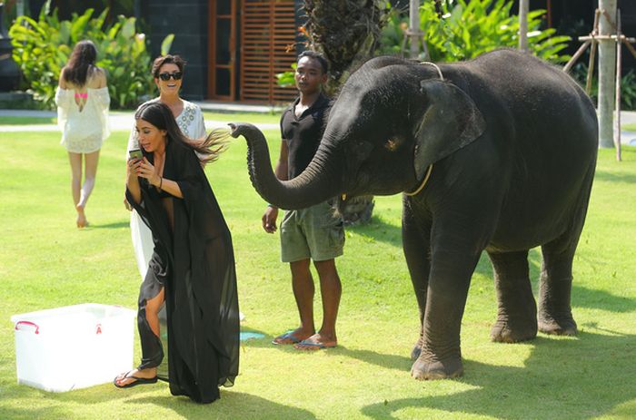 Kim Kardashian Scared By Elephant (4 pics)