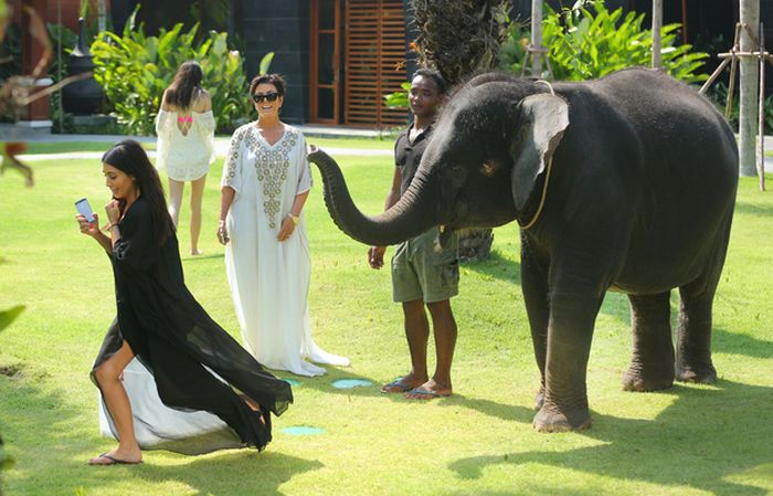 Kim Kardashian Scared By Elephant (4 pics)