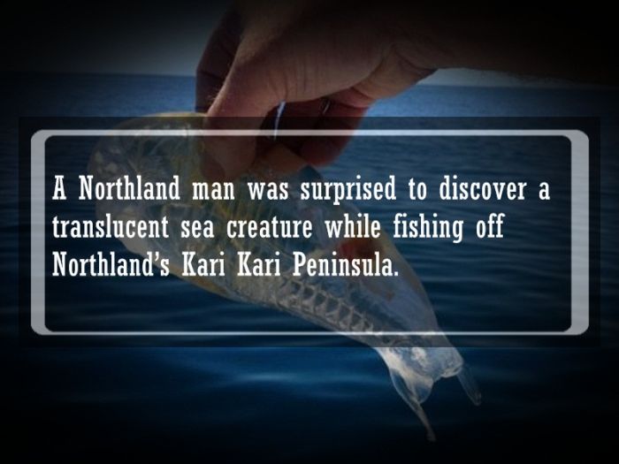 Interesting Facts and Stories (19 pics)