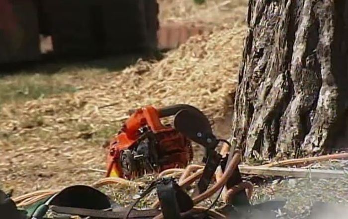 Chainsaw Stuck in Neck (6 pics)