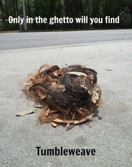 Welcome to the Ghetto (33 pics)