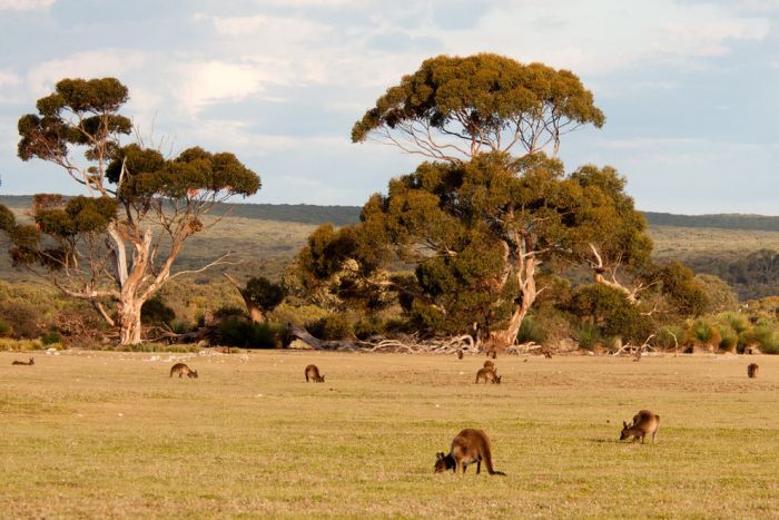 Beautiful Places in Australia (28 pics)