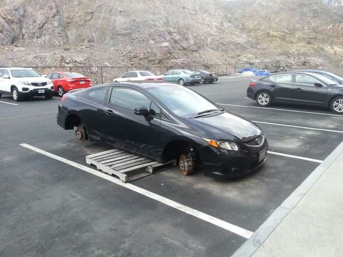 Acid Picdump (111 pics)