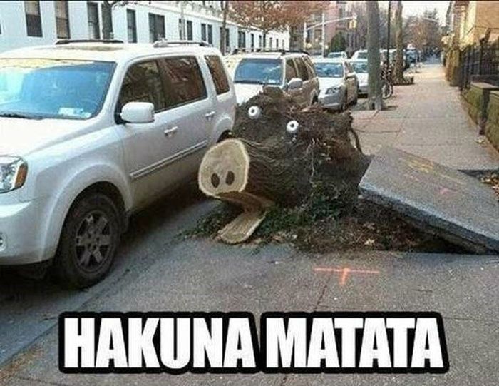 Acid Picdump (111 pics)
