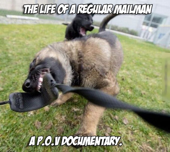 Acid Picdump (111 pics)