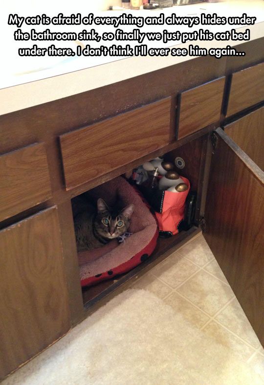 Acid Picdump (111 pics)