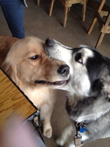 Acid Picdump (111 pics)