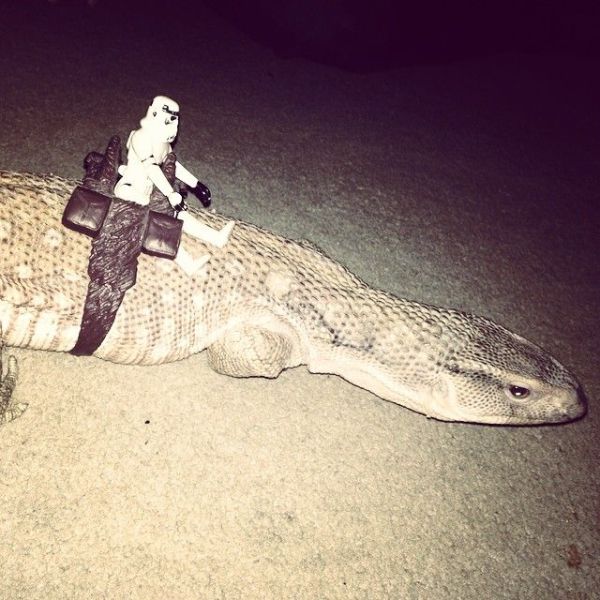 Acid Picdump (111 pics)