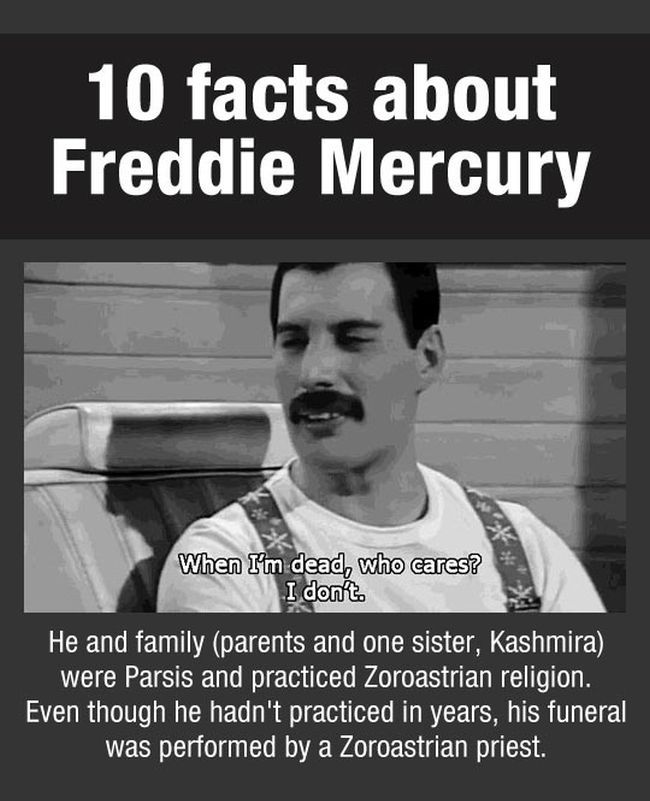 Facts About Freddie Mercury (11 pics)