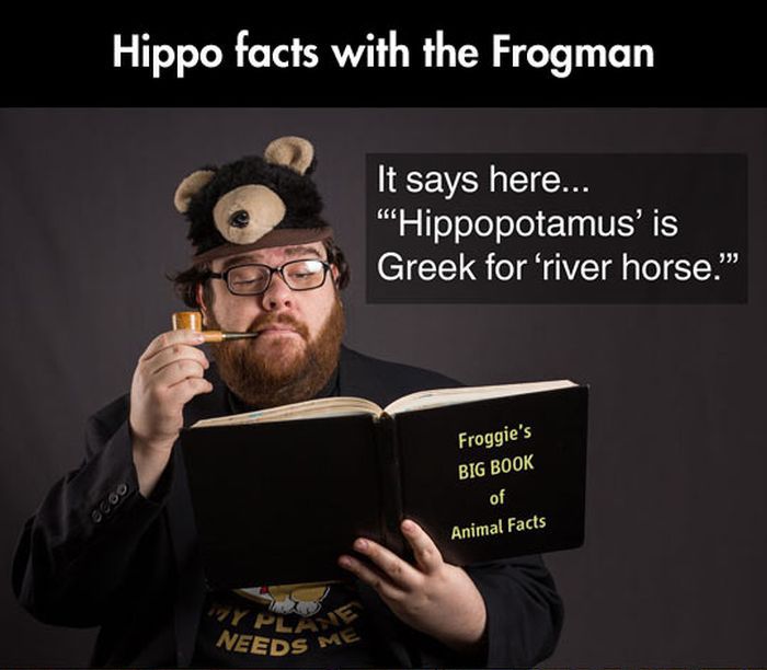 Fun Facts About Hippos (17 pics)
