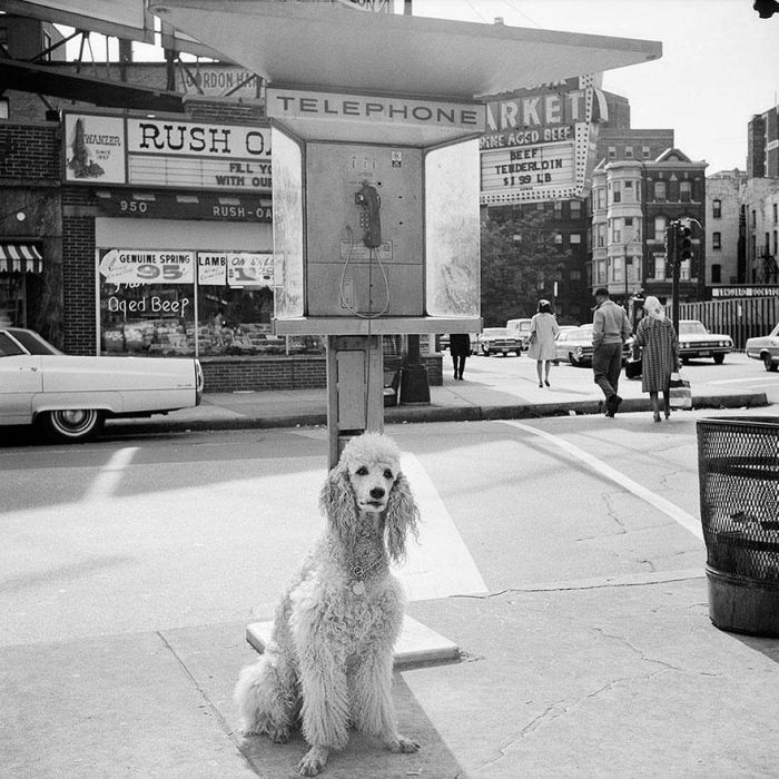 1950s Street Photos of NYC and Chicago (33 pics)