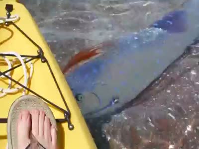 Extremely Rare Oarfish Was Spotted on Mexican Coast