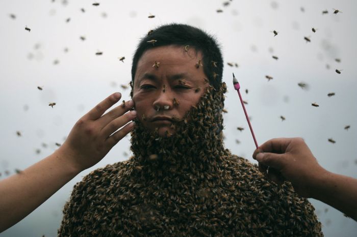 460,000 Bees (12 pics)