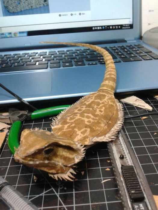 Bearded Dragon Paper Art (24 pics)