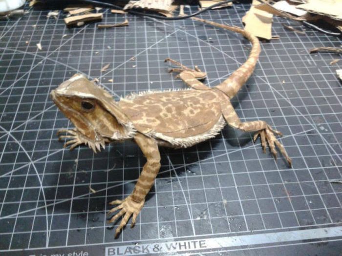 Bearded Dragon Paper Art (24 pics)