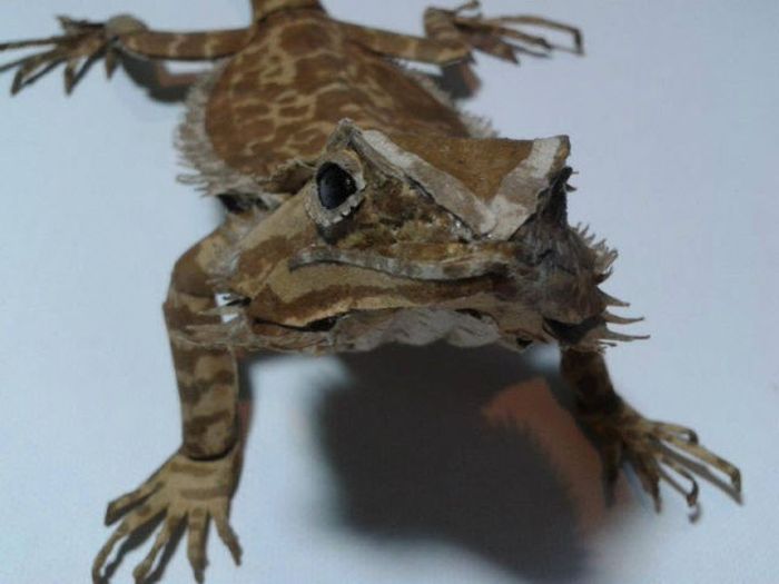 Bearded Dragon Paper Art (24 pics)