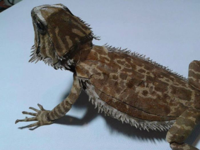 Bearded Dragon Paper Art (24 pics)