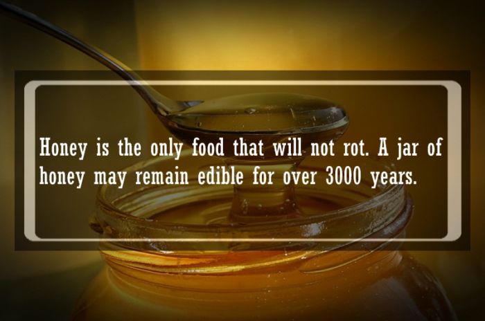 Food Hacks And Facts (21 pics)