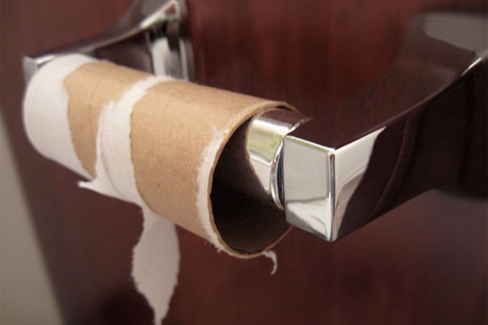 How to Use a Toilet Paper Roll (10 pics)