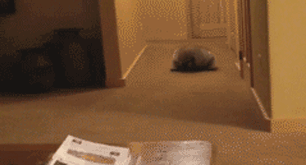 Did It Ever Happen to You When... Part 85 (17 gifs)