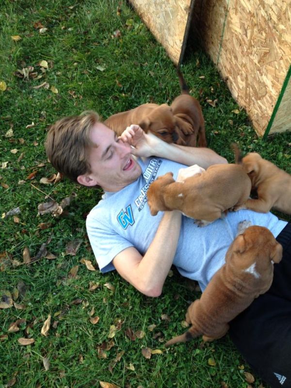 When Dogs Attack (6 pics)