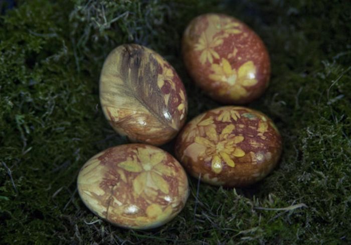How to Dye Easter Eggs with Onion Shells and Flowers (7 pics)