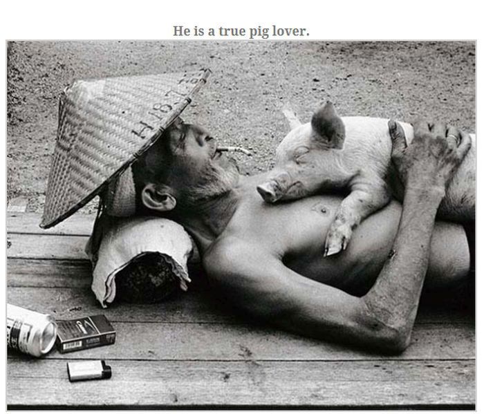 Farmer Who Loves His Pigs (13 pics)