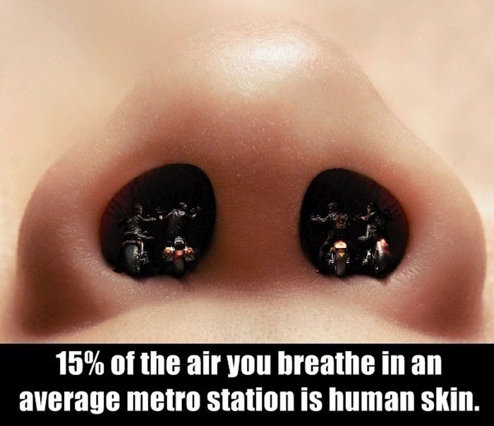 These Facts Are Disturbing 20 Pics
