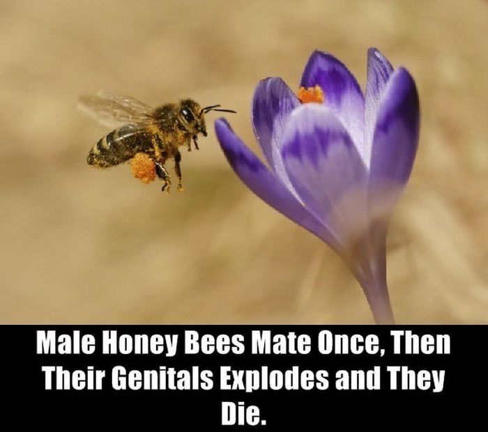 These Facts Are Disturbing (20 pics)