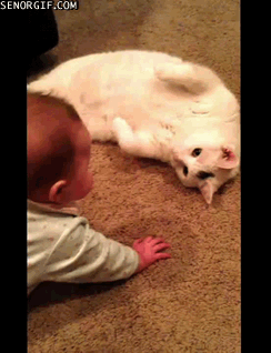 Acid Gifdump, April 18, 2014 (25 gifs)