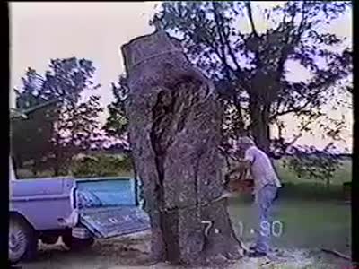 It Was a Bad Idea to Cut the Tree This Way