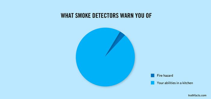 Funny and True Graphs (31 pics)