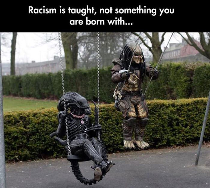 Acid Picdump (113 pics)
