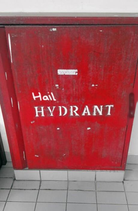 Acid Picdump (113 pics)