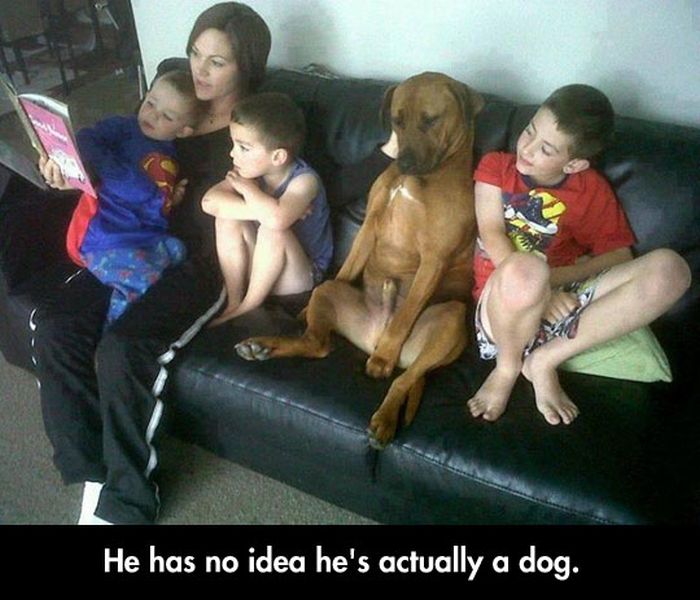 Acid Picdump (113 pics)