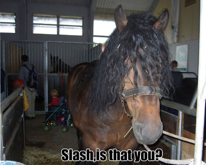 Acid Picdump (113 pics)
