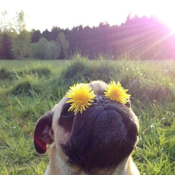 Acid Picdump (113 pics)