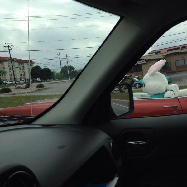 Acid Picdump (113 pics)