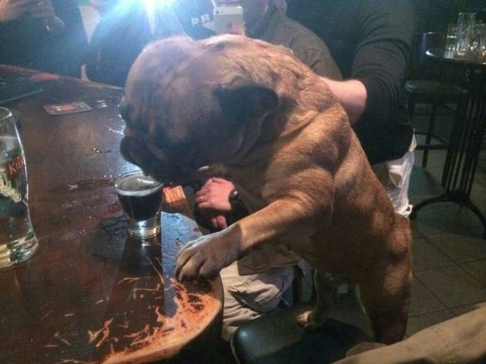 Acid Picdump (119 pics)