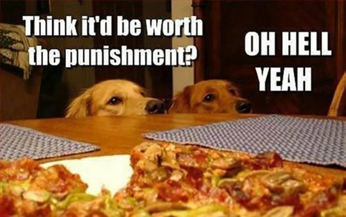 Acid Picdump (119 pics)