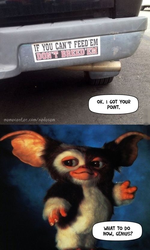 Acid Picdump (119 pics)