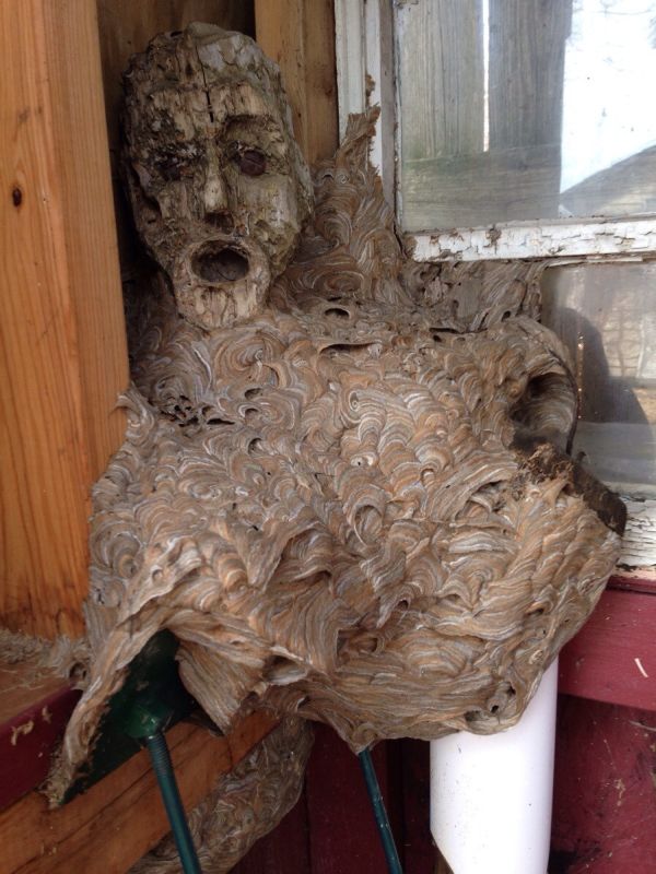 Acid Picdump (119 pics)