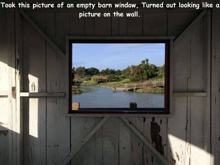 Acid Picdump (119 pics)
