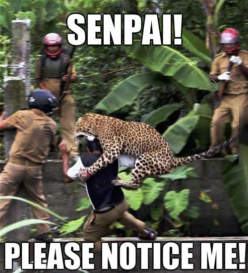Acid Picdump (119 pics)