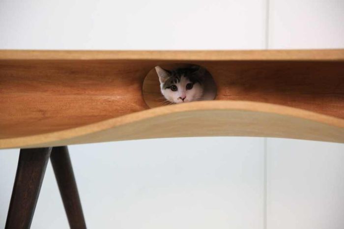 This Table Has Built In Tunnels For A Cat (6 pics)