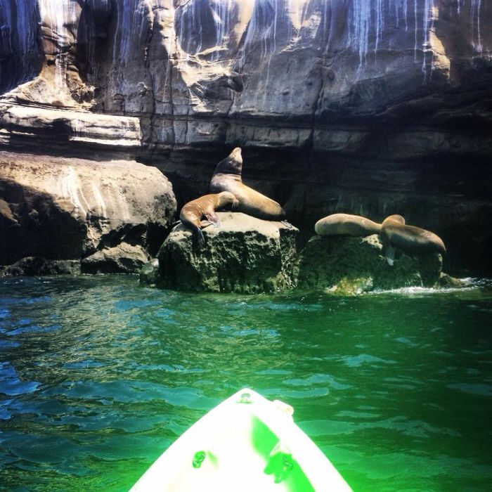 You've Never Kayaked Like This Before (41 pics)