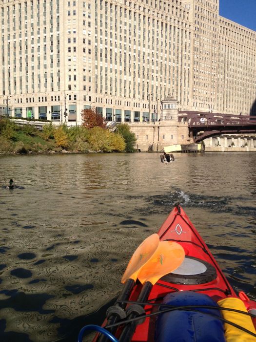 You've Never Kayaked Like This Before (41 pics)