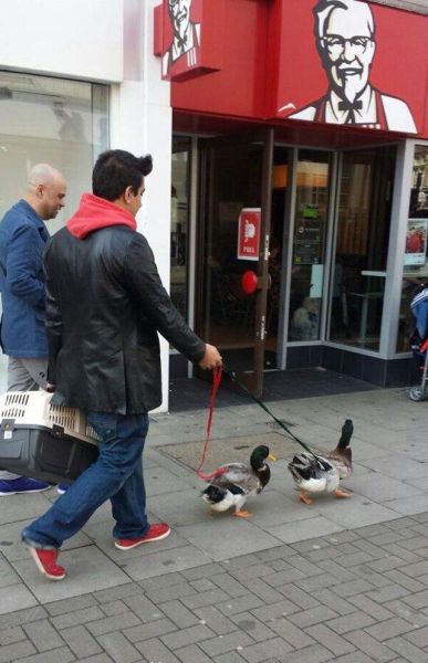 The Weirdest Things You're Going To See Today (36 pics)